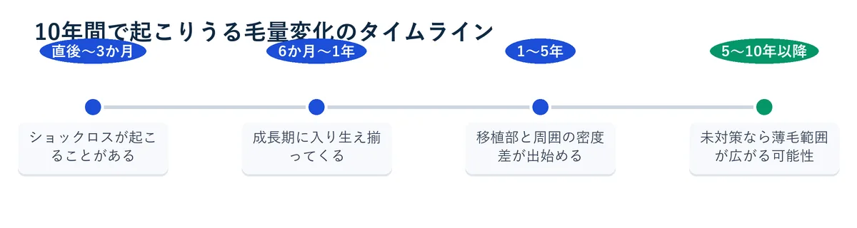 10年間で起こりうる毛量変化のタイムライン図解