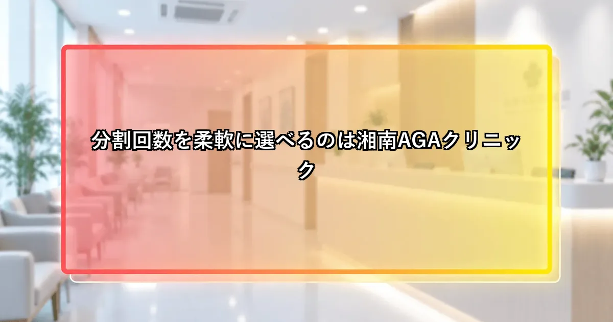 分割回数を柔軟に選べるのは湘南AGAクリニックという説明画像