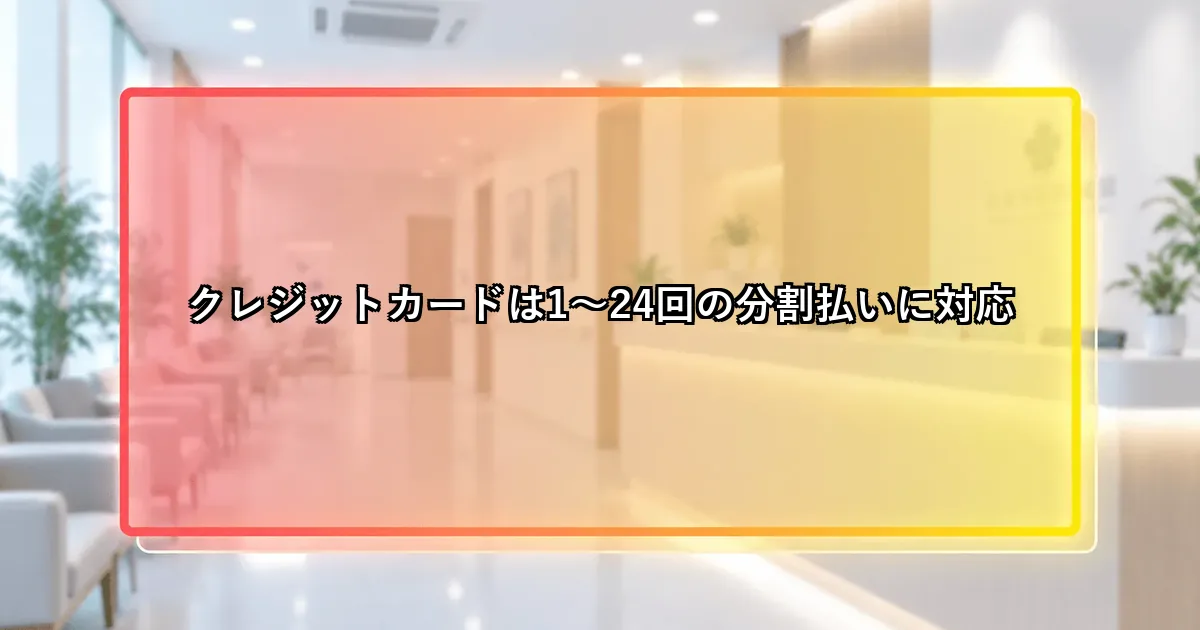 クレジットカードは1〜24回の分割払いに対応という説明画像