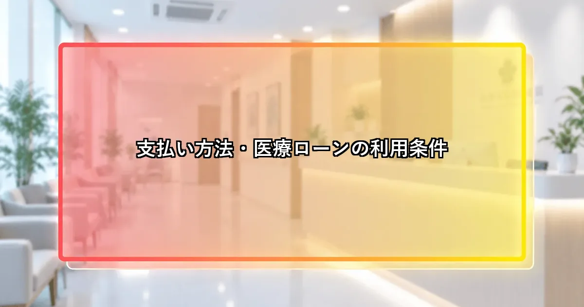 支払い方法・医療ローンの利用条件を整理した説明画像