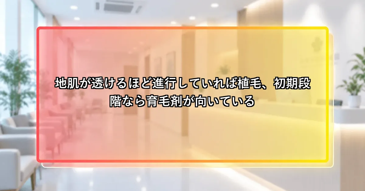 進行度によって育毛剤か植毛かの向き不向きが変わるという説明画像