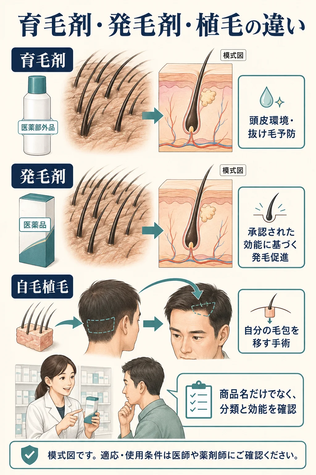 育毛剤の頭皮環境・抜け毛予防、発毛剤の承認された効能、自毛植毛の毛包移植という役割の違い。